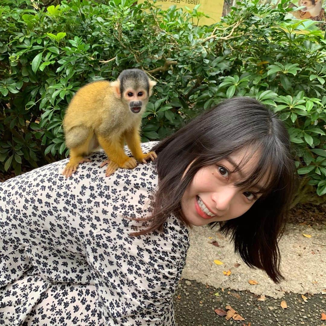 永井理子さんのインスタグラム写真 - (永井理子Instagram)「昔からお猿さん大好きで 石垣島で本物に会えたの〜！ リスザルさん、はじめまして🙈  #完全に遊ばれてる #スローロリスが一番すき」11月23日 18時55分 - riko_1221