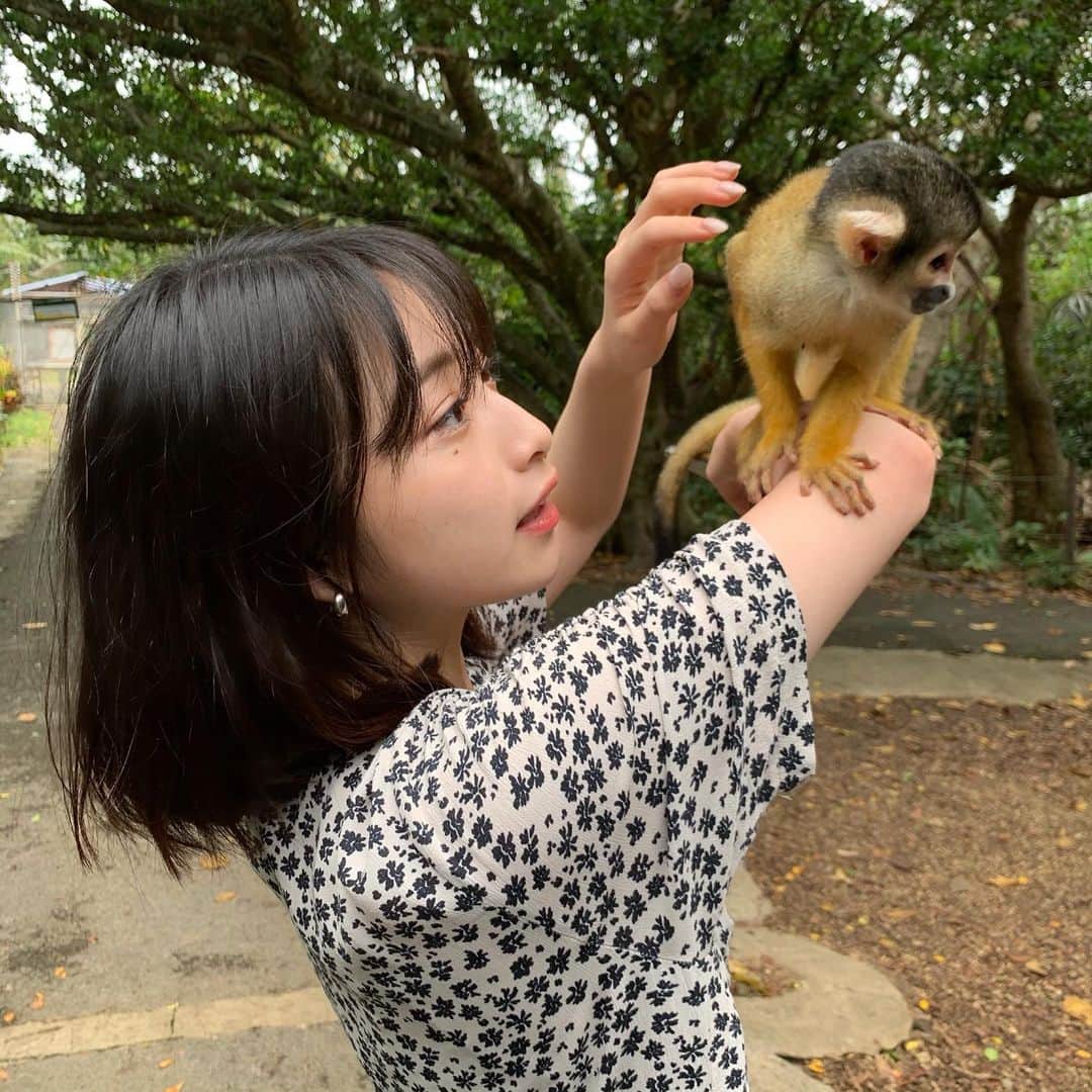 永井理子さんのインスタグラム写真 - (永井理子Instagram)「昔からお猿さん大好きで 石垣島で本物に会えたの〜！ リスザルさん、はじめまして🙈  #完全に遊ばれてる #スローロリスが一番すき」11月23日 18時55分 - riko_1221