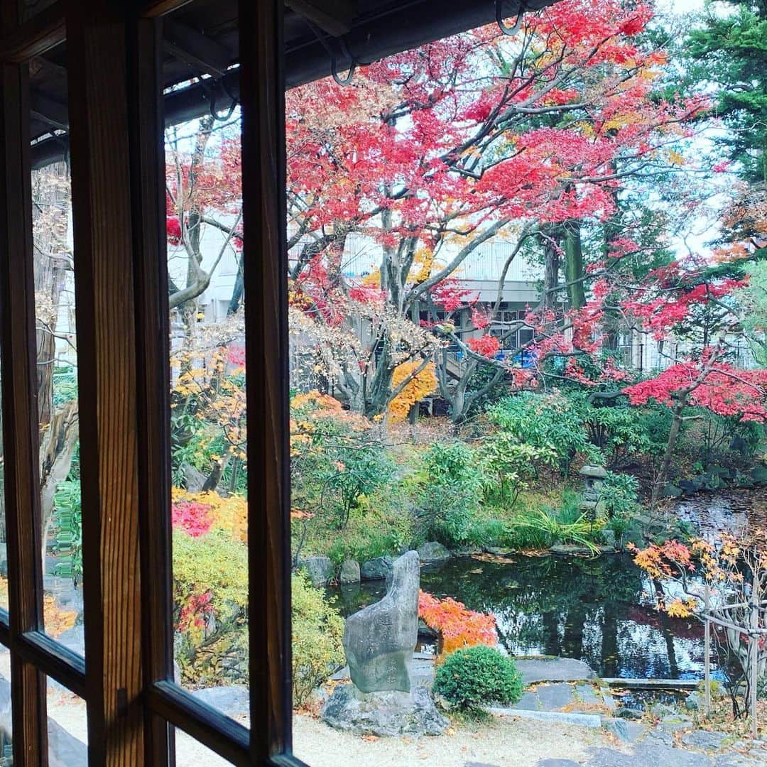 大隅智子さんのインスタグラム写真 - (大隅智子Instagram)「盛岡・南昌荘の紅葉は真っ盛り！庭全体はピークは過ぎていますが、まだまだ楽しめます。朝ドラ「どんと晴れ」の舞台にもなった所です。大好きな場所。 #盛岡　#南昌荘　#どんと晴れ　#紅葉」11月23日 18時58分 - tomokotenki