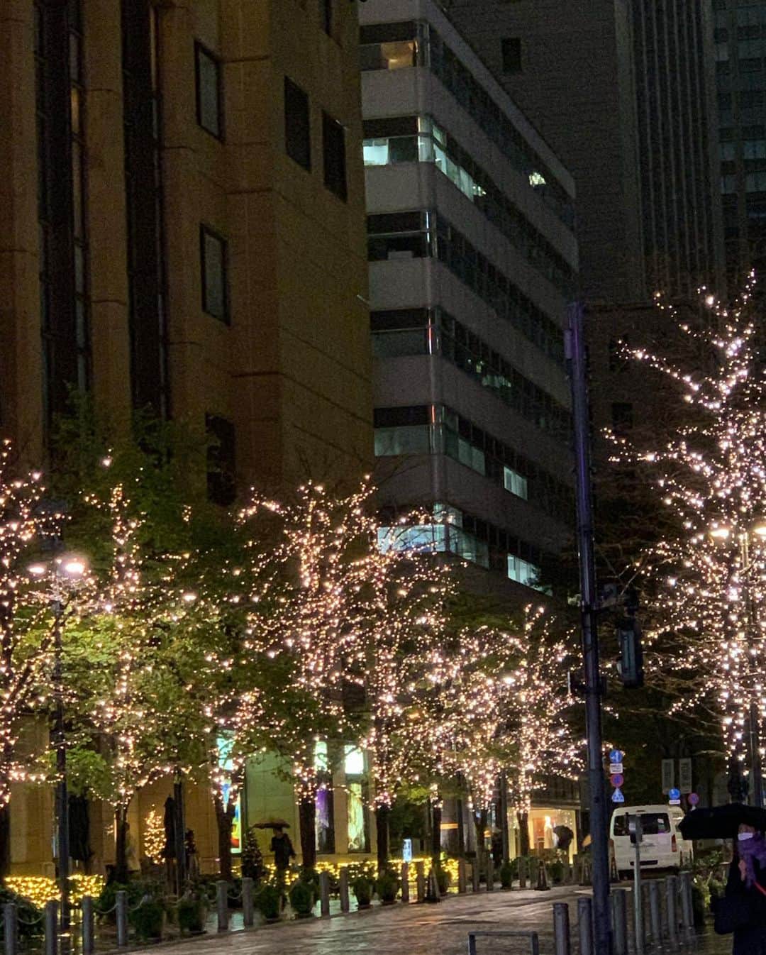 橋本志穂さんのインスタグラム写真 - (橋本志穂Instagram)「ただいま！雨の東京 一番好きな東京タワー🗼のポイントから 霧に包まれる東京タワー🗼もらおうと素敵❣️ 東京駅から 丸の内や銀座のイルミネーションを楽しみました」11月23日 19時10分 - shihohashimoto3