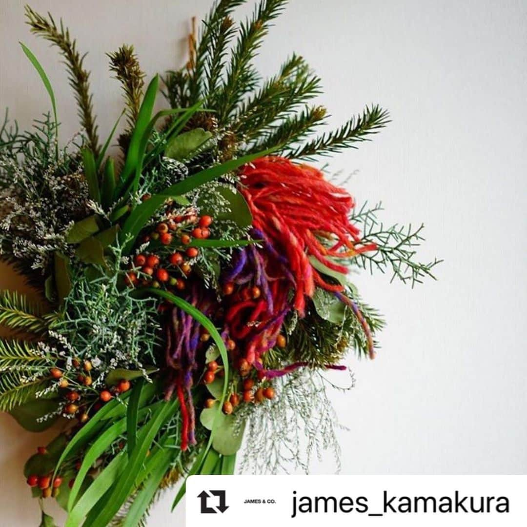 前田有紀さんのインスタグラム写真 - (前田有紀Instagram)「来週末は、鎌倉のJAMES&CO.さんでのクリスマスリースのワークショップ&gui移動花屋がオープン。 今回の毛糸のリースは、たくさんお申込みいただき、ワークショップは30日13時〜が満席となりました。 1日13時〜、15時〜は残席わずかです。  みなさんに会えるのを楽しみにしています。 . ご予約はguiのウェブサイトorderページより！  #Repost @james_kamakura with @make_repost ・・・ 【ご予約お急ぎください!!】 来週に迫ったフラワーアーティスト前田有紀さん @yukimaeda0117 が手掛ける移動花屋guiさん @gui.flower のクリスマスリースワークショップ、まだ少しだけ席に余裕がございます!! . JAMES & CO.では初めてのワークショップ開催!! ユーカリや針葉樹などを使ったナチュラルで温もり溢れるリースに、カラフルな毛糸を使った特別なクリスマスリースづくりとなります。  ご予約は写真をタッチし、guiさんのアカウントページよりお願いいたします。 https://gui-flower.stores.jp/  当日はクリスマスリースやお花、アクセサリーなどの販売もございます。 ご家族・ご友人をお誘いあわせのうえ、ぜひ遊びにいらしてください!! なお、予約にあたって大事なお願いがございます。 当日用意してくださるワークショップ用のお花等の仕入れの都合上、予約後やむ終えずキャンセルされる方がいらっしゃりましたら下記までお早めにお知らせください。 info@gum-flower.com  ご理解ご協力のほどよろしくお願いいたします。  日時：11月30日（土）、12月1日（日）12:00～18:00 場所：JAMES&CO. 〒248-0014 神奈川県鎌倉市由比ヶ浜2-6-20（鎌倉駅西口から徒歩6、7分ほど） ワークショップ：両日ともに、13:00～14:30、15:00～16:30の2回開催 ワークショップ定員：各回6名 費用：5,500円（税込）  詳しくはguiさんホームページをご覧ください。 詳細　https://gui-flower.com/news/ #jamesandco #kamakura #guiflower #christmaswreath #workshop」11月23日 20時02分 - yukimaeda0117