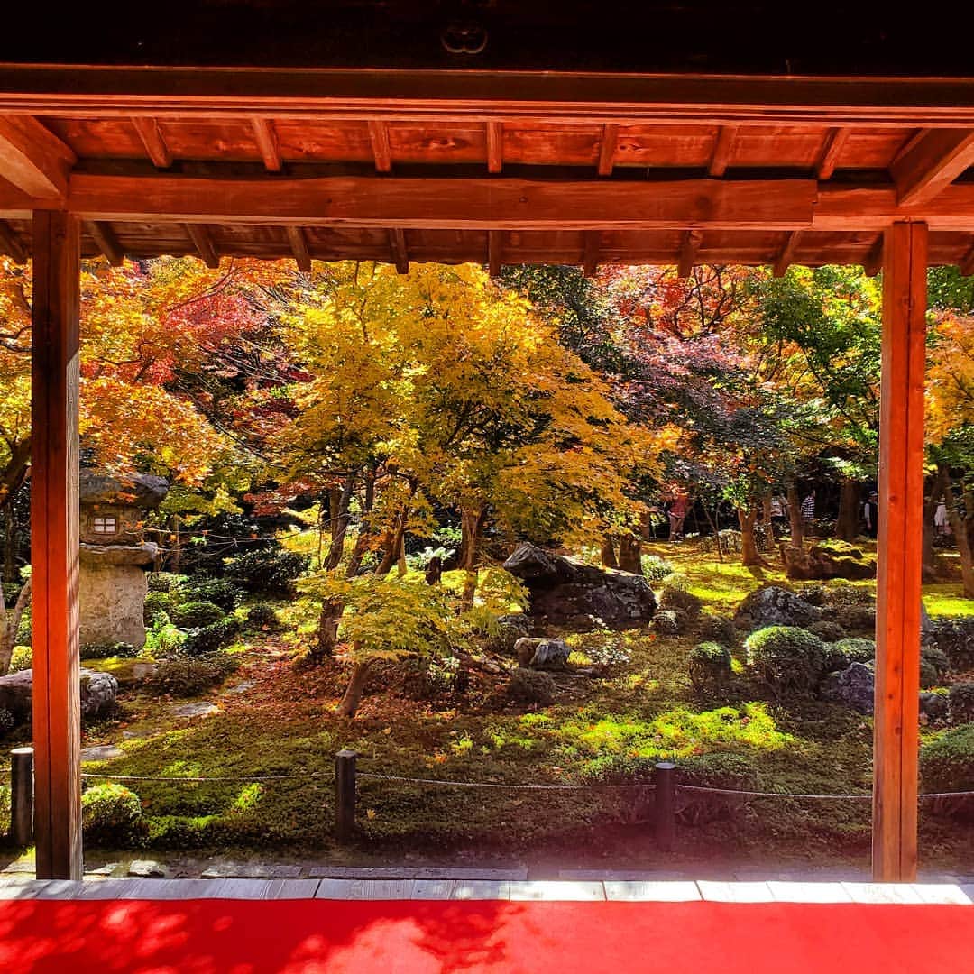 neokazumiのインスタグラム：「﻿ 秋に京都に来れて良かった🍁﻿ ﻿ #圓光寺#京都紅葉#京都ぶらり」