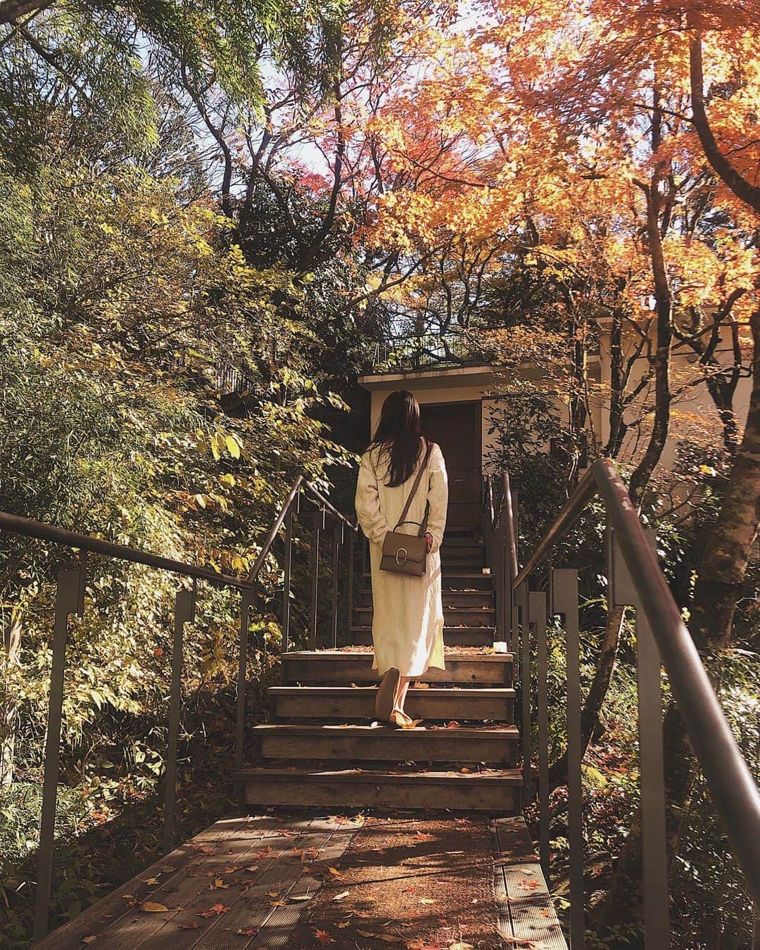 酒匂彩名さんのインスタグラム写真 - (酒匂彩名Instagram)「: 秋の日🍁 : #秋 #fall #Autumn #japan #ootd」11月23日 20時09分 - ayanasakoh