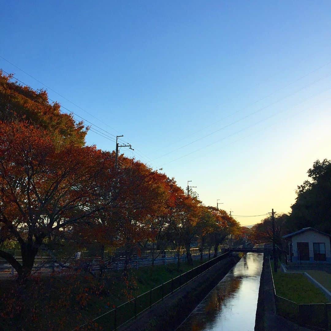 彩住宅のインスタグラム