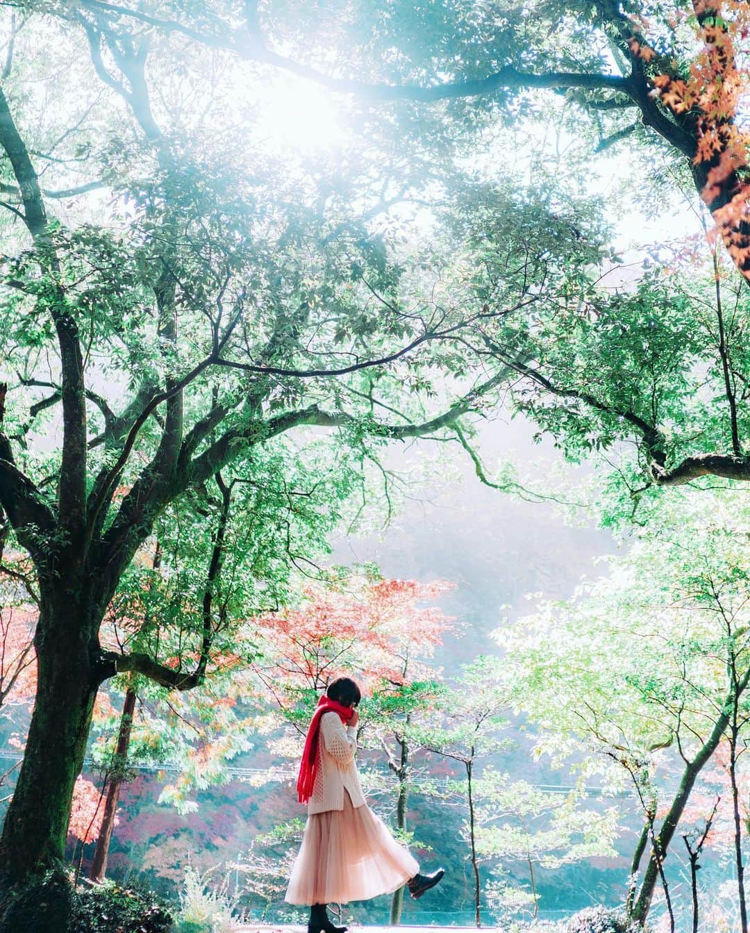 wacameraのインスタグラム：「Autumn lights 今日から東京。暖かいといいんだけどな。紅葉もまだ残ってるかしら。」