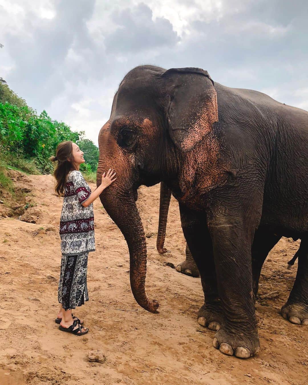 近藤あやさんのインスタグラム写真 - (近藤あやInstagram)「⠀ ⠀  ラオスで、ゾウツカイシになった！！！🐘🇱🇦 ⠀ #ラオス #ルアンパバーン  #laos #elephant #あや旅19 #ひとり旅」11月23日 20時56分 - doraemontoaya