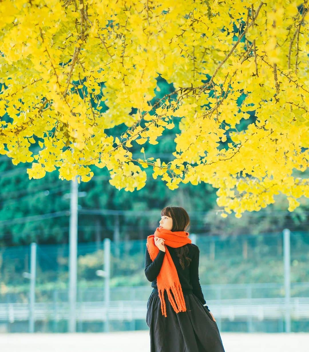 Kobe Japan Water artのインスタグラム：「"Autumn atmosphere". 凛.」