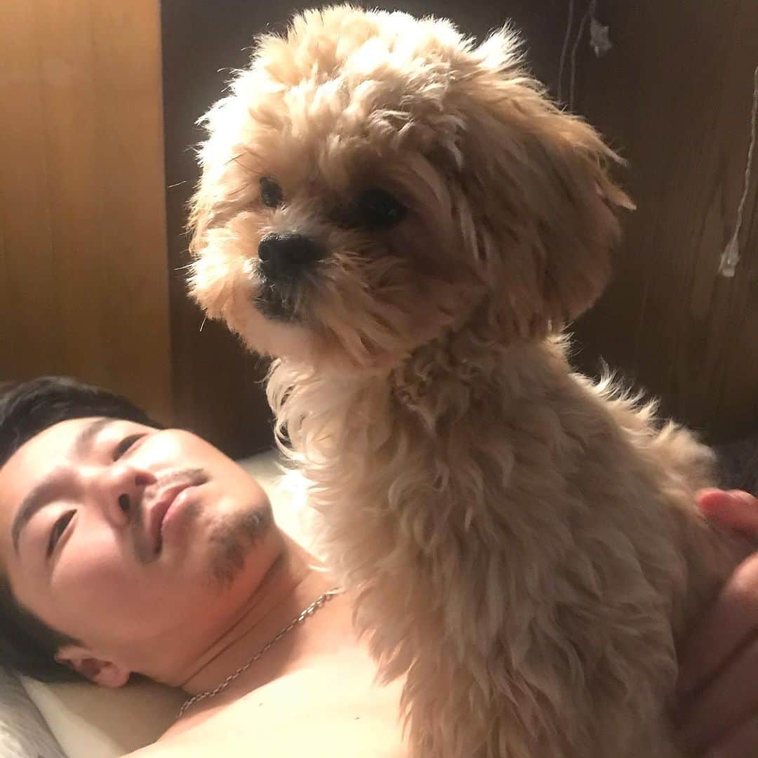 Manitasのインスタグラム：「我が家の犬よ、どんな感情でその顔やねんっ。 変なところにうんちするし終始うるさいですが毎日愛おしいです😧💩♡ 🐶 @comanichaaaaan  #愛おしい2人 #日によって顔が違くて毎日おもしろい犬です #コマニです」