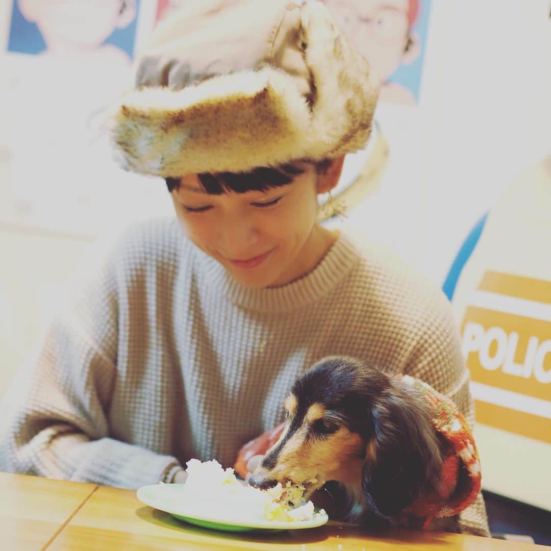 あ〜な（A-Na•̤ᴗ•̤）のインスタグラム：「18 years old.  HAPPY HAPPY BIRTHDAY！ なーさん♡めーたん  なーさんを通じてアメリも抱っこ。 ケーキ食べれないと思ってたら、1人で全部平らげた！ アメリがなーさんに憑依していたとしか思えない(笑)  私の愛しい姉妹、18歳おめでとう♪ そして、18年ありがとう♡  #シニア犬 #シニア犬18歳 #シニア犬との暮らし #ダックス #dachshund #happybirthday #一日一日が大切 #その瞬間一緒にいた記録を残したいから #久しぶりの撮られる側 #しかし末っ子キャラのなーさんが18歳 #改めて時の長さを感じる」