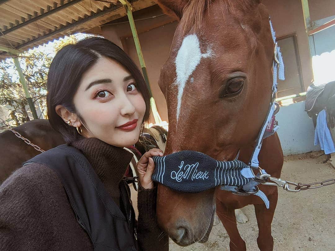 Lisaのインスタグラム：「. 最近趣味で乗馬をしてます🐎♥️ . 小さいころからとにかく馬が大好きで、 今毎週馬に会えるのが幸せすぎて 満たされてます。笑 . でも思った以上にハードで 終わったあとは動くのしんどいくらい 筋肉痛になる。笑 痩せます。笑 . 今ガチでライセンス取る気なので がんばります〜😏✨👏🏻♥️♥️ #乗馬#乗馬女子#馬#馬好き女子#乗馬人工増やしたい#最高のスポーツ#クレイン#乗馬クラブ#クレイン東海#crane」