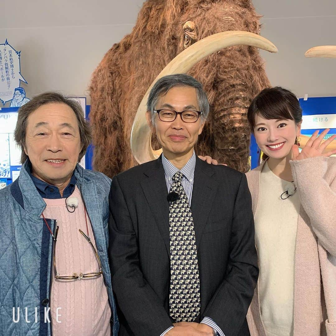 新垣泉子さんのインスタグラム写真 - (新垣泉子Instagram)「鉄矢さんと『マンモス展』！！！ 想像以上にめちゃくちゃ楽しかったです！！！！！ マンモスなどが冷凍でそのまま残ってたんです！！！凄すぎる！！！ なぜ絶滅してしまったのか、、、謎は深まるばかりですが、滅びないためには、その時代に合った“適応力“が大切！！！ という話になり、 なんだか人生の教訓を学んだような気がします。 変わっていく力。 それも生きていくための強さなのでしょう。  マンモス展は@福岡市科学館です！  ぜひぜひぜひです！！！ #マンモス展 #鉄矢がゆく！ #ももち浜s特報ライブ  #武田鉄矢　さん #福岡市科学館 #六本松　#六本松421 #tnc #アナウンサー」11月23日 21時25分 - motoko.arakaki