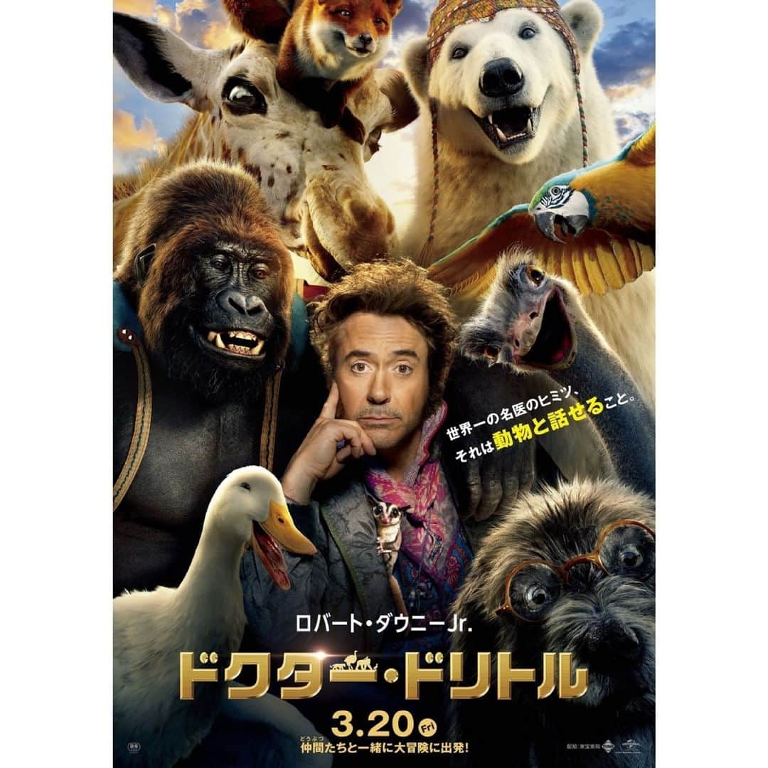 Filmarksさんのインスタグラム写真 - (FilmarksInstagram)「・ 世界一の名医のヒミツ それは動物と話せることー。 仲間たちと一緒に大冒険に出発🐻🐥🐶 ・ 『ドクター・ドリトル』（2020年製作） 原題：Dolittle ・ 上映日：2020年3月20日／製作国：アメリカ ・ あらすじ：▼▼▼ 動物と話せるドリトル先生は、名医だが変わり者。世間から遠ざかり、様々な動物たちとひっそりと暮らしていた。しかし、若き女王が重い病に倒れたと聞き、ドリトル先生は女王を救える唯一の治療法を求めて伝説の島へと冒険の旅に出発する。一緒に行く仲間は助手のスタビンズ少年と、ドリトル先生が最も信頼する親友である頑固なオウム、臆病なゴリラ、とぼけたアヒル、陽気なシロクマ、皮肉屋のダチョウなど個性豊かな動物たち。ほかにもメガネをかけた忠実な犬や、おしゃべりなキリン、賢くて勇敢なキツネ、昆虫など数多くの生き物が登場！旅の中で明らかとなっていく、ドリトル先生の過去、国を揺るがす陰謀……物語はめまぐるしく動き出す。 ・ #ドクタードリトル #ロバートダウニーJr #トムホランド #movie #cinema #映画部 #映画好き #映画鑑賞 #映画好きな人と繋がりたい #Filmarks ・ © 2019 Universal Pictures. All Rights Reserved.」11月23日 22時00分 - filmarks_official