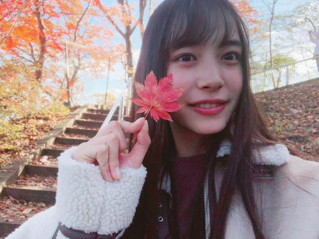 井桁弘恵さんのインスタグラム写真 - (井桁弘恵Instagram)「ㅤㅤㅤㅤㅤㅤㅤㅤㅤㅤㅤㅤㅤ 🍁🍁🍁 季節を感じることができる 景色がすきです❤︎」11月23日 22時27分 - igetahiroe23