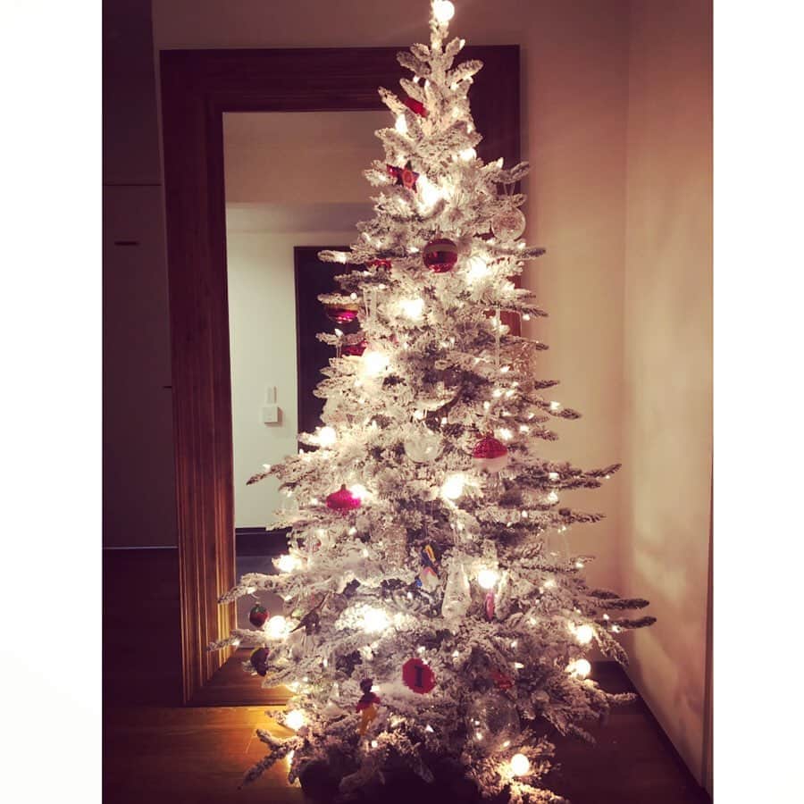 神崎恵さんのインスタグラム写真 - (神崎恵Instagram)「三男が選んだ「赤」のオーナメントを飾り付け。 お父さんが飾ってくれた白と透明の世界に赤と鮮やかなアイロンビーズが加わり、息子、大満足🎄🥳😍🤩 12月、なぜかわくわくする季節。 #クリスマスツリー #オーナメント は  代官山の #クリスマスカンパニー で。 もう何十年も通い続けているお店。 パパの透明なオーナメントも 息子の赤も、綺麗だなぁ😌 スイカに林檎、サクランボに桃と苺、消防車に赤い車に乗ったサンタ🎅あとなぜかひとつだけパープルのぶどう🍇 苺はね、なんとチョコレートつき。 恐竜も🦕います。 息子たちへのプレゼントは何にしよう？ 母さんサンタ、迷う季節🤶 そういえば、昨日アナ雪2を観ました。 ディズニーを観た後は、なんだか幸せな気持ちになりますね。不思議❄️」11月23日 22時28分 - megumi_kanzaki