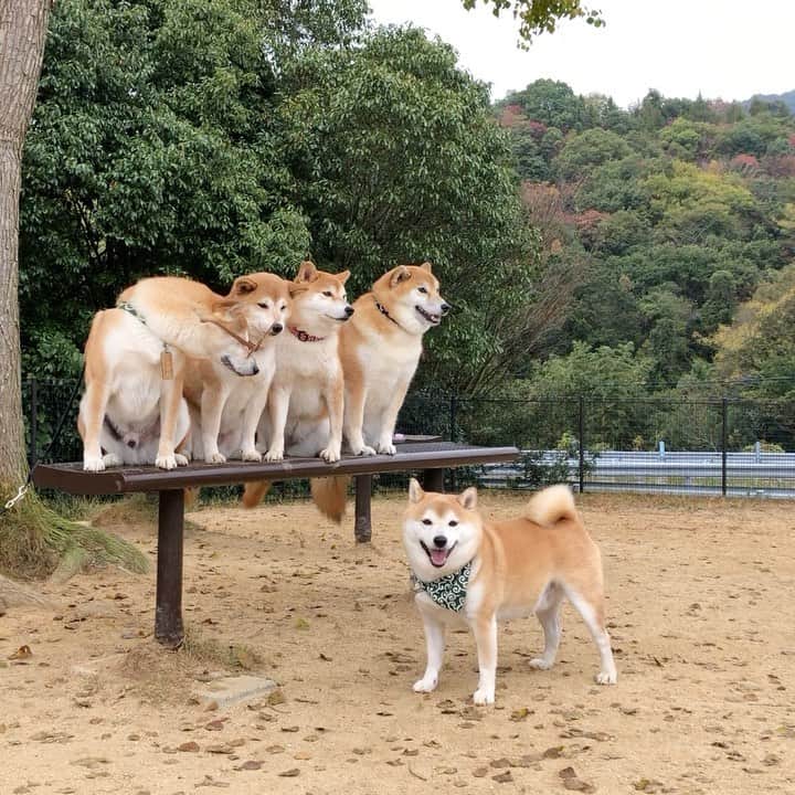 豆助左衛門（まめすけざえもん）のグルメインスタ