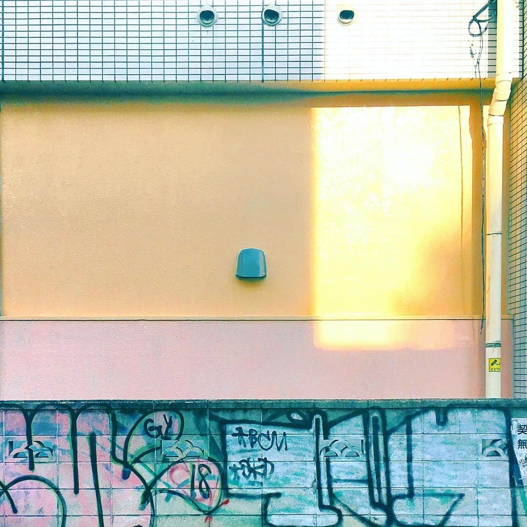 まめのインスタグラム：「. . キャプションが思いつかない程度に さむい(((´ω`))) . #ザ壁部 . #ihaveathingforwalls  #mwjp #igersjp #indies_minimal #hueart_life #reco_ig #shotoniphone #youmobile #wearegrryo」