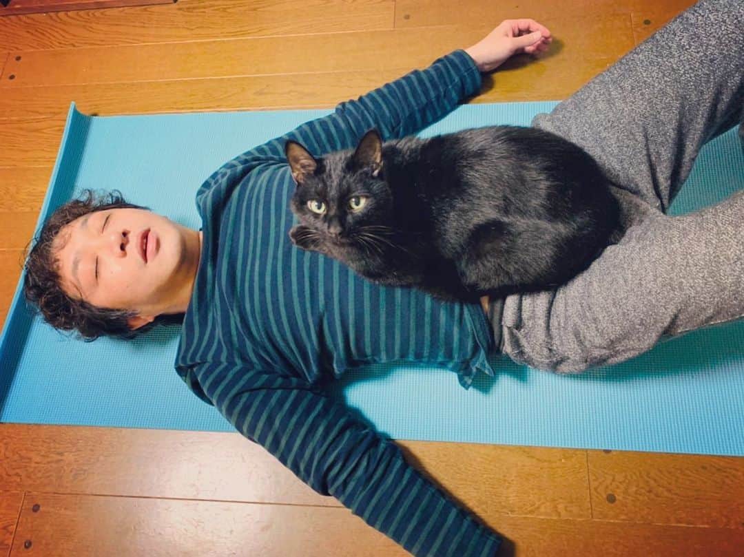 辻本耕志さんのインスタグラム写真 - (辻本耕志Instagram)「帰宅、風呂、ストレッチ、寝る、猫、乗る。 #cat #猫 #ねこ #ネコ #むぎ」11月23日 23時06分 - tsujimotokouji