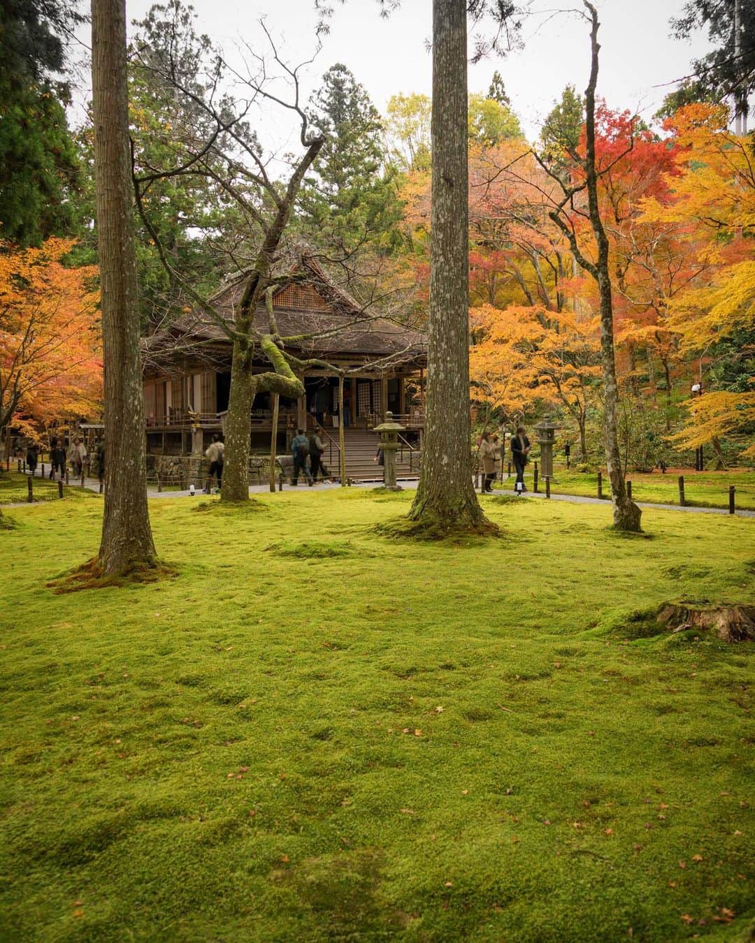 詩歩のグルメインスタ