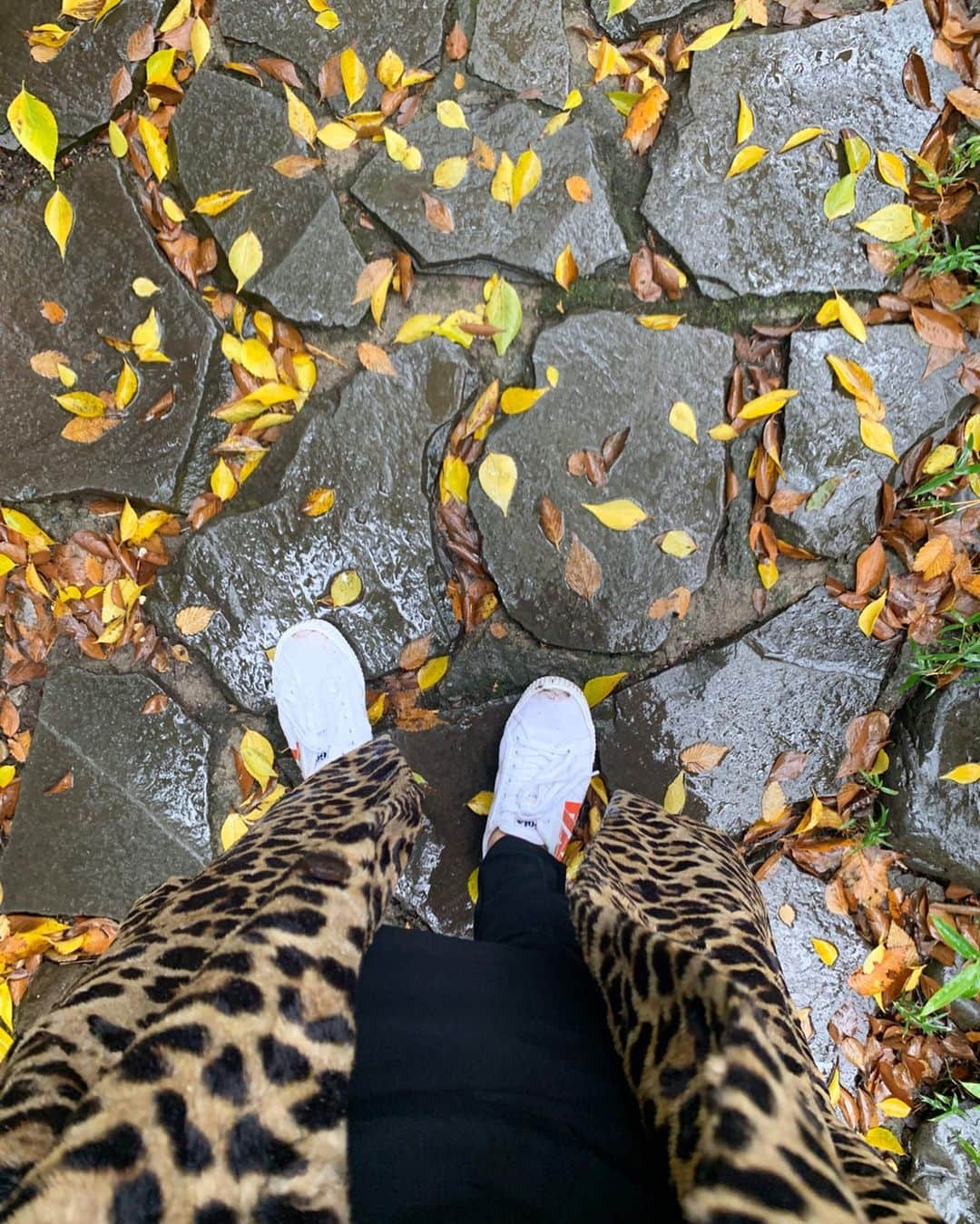 黒沢祐子のグルメインスタ