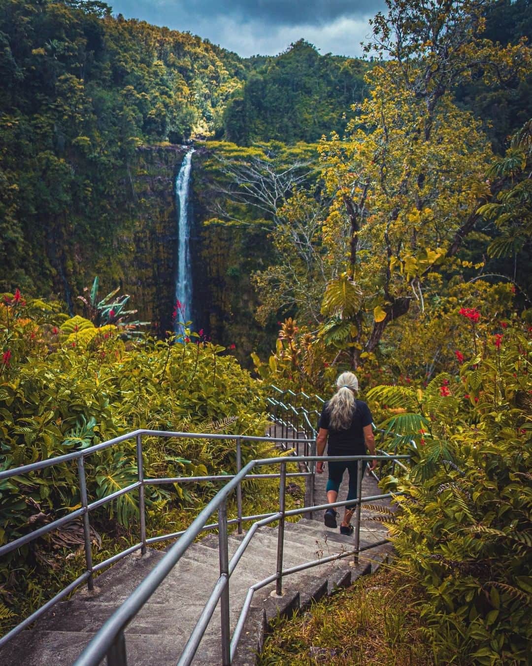 ハワイアン航空さんのインスタグラム写真 - (ハワイアン航空Instagram)「ʻAkaka Falls is the perfect hike for beginners or families and is only 11 miles north of Hilo. This 0.5-mile paved hike takes you through lush rainforests and ends with a 442-foot waterfall. 📷 @jonilatef 📍 ʻAkaka Falls State Park, Hawai‘i Island」11月24日 4時00分 - hawaiianairlines
