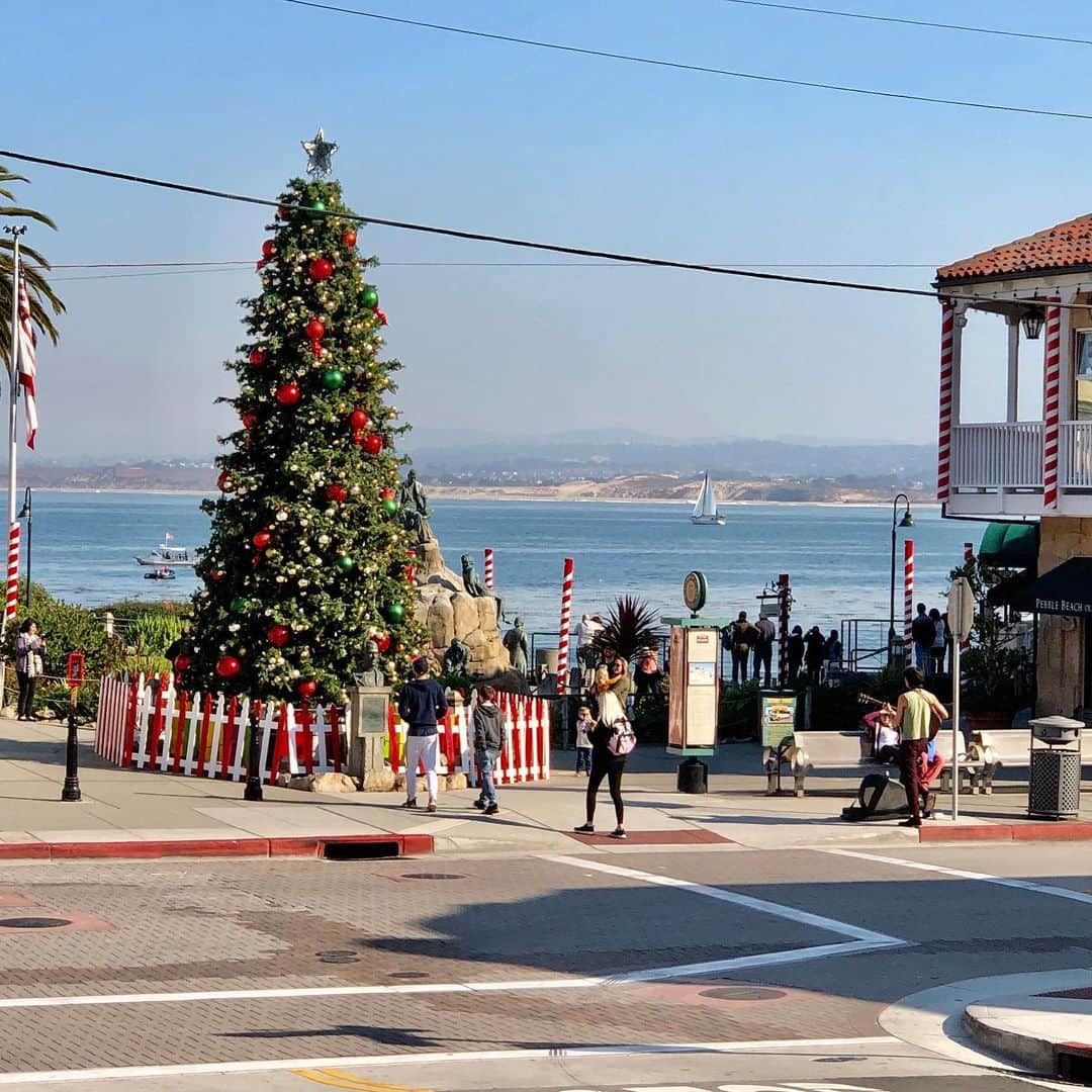 ケアリー・ハートさんのインスタグラム写真 - (ケアリー・ハートInstagram)「It should be illegal to have a Christmas tree before the Monday of thanksgiving. But I have to say, Monterey is a cool city.」11月24日 5時37分 - hartluck