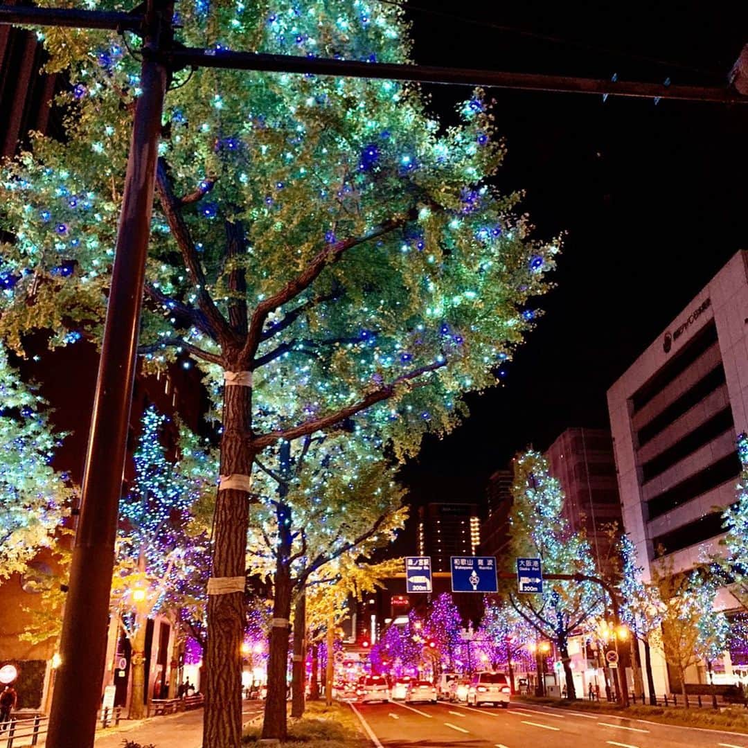 大桃美代子さんのインスタグラム写真 - (大桃美代子Instagram)「よく晴れた大阪。  今はイルミネーションもきれい。✨✨✨ 梅田が、変わっていてビックリ。  詳しくはブログにて。 クリスマス前に、また行きたい。。 #大阪#御堂筋イルミネーション#御堂筋#osaka #大阪城#」11月24日 6時00分 - miyoko_omomo