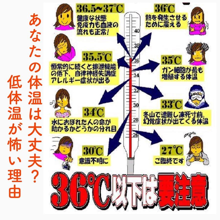 笑顔をリフォームする@健康小顔職人のインスタグラム：「． 肩甲骨周りの筋肉をほぐすと体がポカポカ暖かくなり、体温が1℃上がると風邪や病気になりにくくなります。 ． 中医学では、左右の肩甲骨の間には邪気の門と言われるツボがあるので温めると風邪をひきにくい体質になります。 ． 肩甲骨と肩甲骨の間にホットカイロを貼ると暖かい血液が全身に届けられて寒さ対策にもなります。 ． 更に、肩甲骨周りには褐色脂肪細胞という代謝を上げる細胞が存在していますので、痩せやすい身体に！ ． 冬こそ肩甲骨周りをほぐしましょう！ ． ． 幸せな笑顔が世界中に沢山溢れますように✨ ． ． 💆🏻‍♀️心美体を整える「小顔整顔トリートメント」 👰ブライダル小顔🤰マタニティ小顔＆足リフレ ♨️代謝を上げる「Hot&Coldストーンリンパマッサージ」 ご予約はプロフ🔗→HP→予約サイトへ！ ． ． ✨気を整えて心と体を健康に！チャクラエネルギーセラピー ※Hペッパー等の予約サイトからは予約できません。ご予約は必ずホームページからお願いします(プロフ🔗) ． ． 💟あなたも小顔職人になれる👍 小顔職人養成スクール！スクール生募集中！詳細・お申込はプロフ→HP→小顔養成スクールへ！ ． ． 🍀小顔職人が作ったリフトアップクリーム&ボタニカルオイルを紹介！更に小顔や美容を解説！ @happy_cosme_kogaoshokunin ． ． #肩こり#首こり#代謝#代謝アップ#冷え性対策#温活 #幸せはいつも自分が連れてくる #笑顔は世界を明るくする #皆んなでハッピーになろう #自分を愛そう #世界が愛で溢れますように #自然治癒力は素晴らしい  #健康な小顔になろう #体温を上げて代謝を上げよう #心身共に整ってこそ美容 #笑顔をリフォームする小顔職人 #いつもご覧頂きありがとうございます」