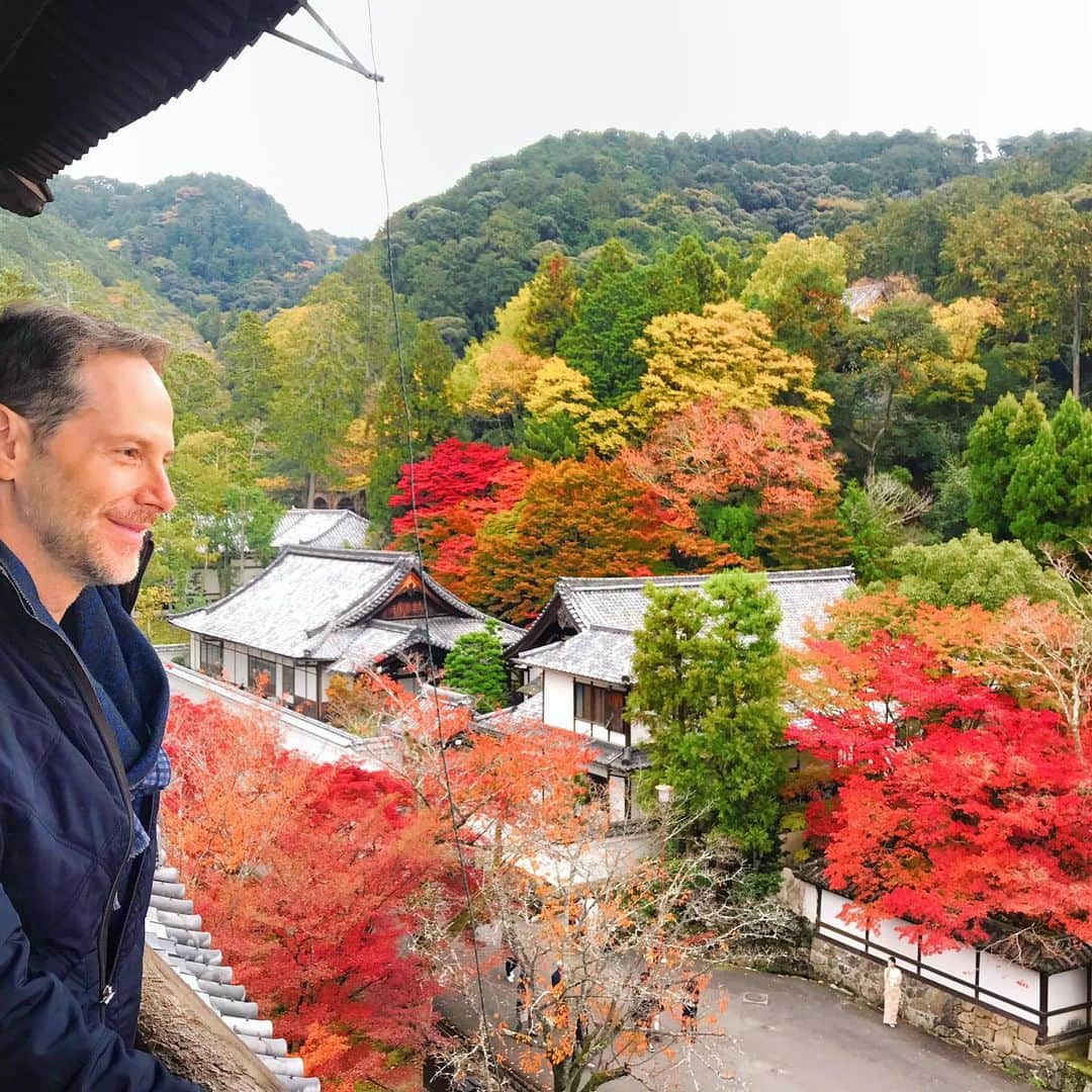 アンミカさんのインスタグラム写真 - (アンミカInstagram)「初めて南禅寺の山門にあがりましたよ🍁 。 上から見下ろす京都の紅葉も格別で、より太陽の光を受けて、色が移ろいゆく様が目に入りやすい🍁 、 500年も、同じ景色を見続けてきた、この山門の歴史に想いを馳せながら、ゆったりと360度それぞれの景色を楽しみました。 。 #紅葉狩りがしばらく続きますが一緒に紅葉楽しみましょう🍁 #南禅寺も来週くらいがさらに燃えるように色づき美しいようです。 #個人的にはグラデーション紅葉が好き🍁 #次は毎年訪れるあの店にお食事へ。 @theodoremillertokyo #紅葉狩り #京都　#南禅寺　#夫婦旅」11月24日 8時05分 - ahnmikaofficial