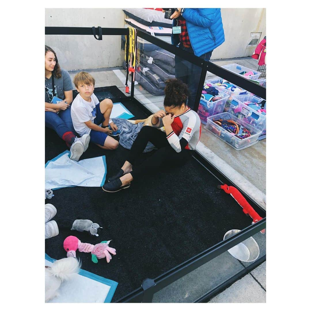 ローリー・ヘルナンデスさんのインスタグラム写真 - (ローリー・ヘルナンデスInstagram)「go through the slide to see me literally bawl over puppies」11月24日 8時06分 - lauriehernandez