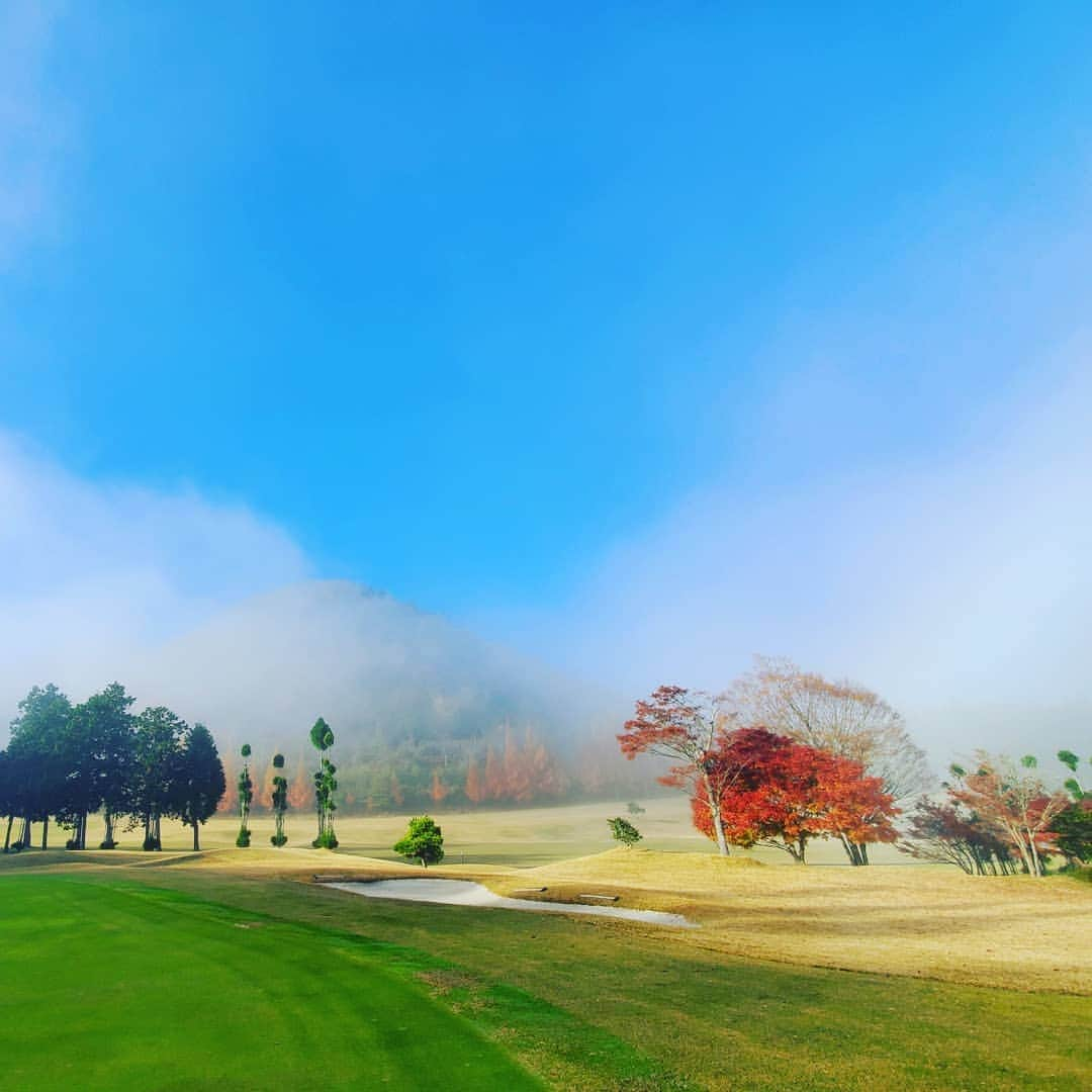 竹内弘一さんのインスタグラム写真 - (竹内弘一Instagram)「霧からの快晴。あまりにも紅葉と相まって美しかったのでたくさん撮ってしまいました！ ちなみに霧のなかのスコアはボロボロ。。見えないんだもん(笑)フルバックだもん。霧がはれてからはスコアも晴れて39。久々のゴルフだったけどうれしかったです！！#瑞穂ゴルフ倶楽部 #霧 #紅葉 #京都 #ゴルフ #golf」11月24日 8時38分 - takeuchi_koichi