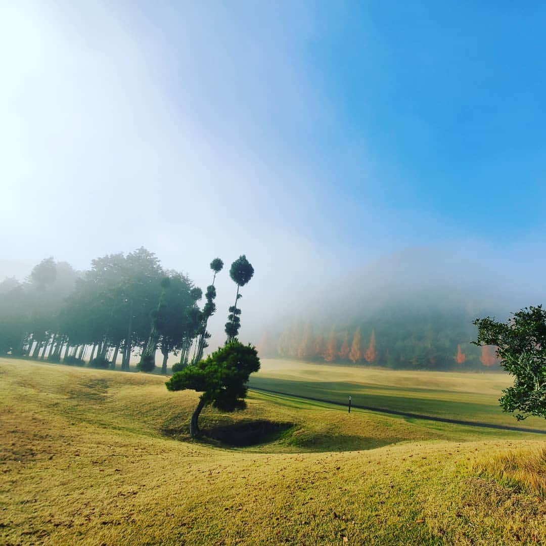 竹内弘一さんのインスタグラム写真 - (竹内弘一Instagram)「霧からの快晴。あまりにも紅葉と相まって美しかったのでたくさん撮ってしまいました！ ちなみに霧のなかのスコアはボロボロ。。見えないんだもん(笑)フルバックだもん。霧がはれてからはスコアも晴れて39。久々のゴルフだったけどうれしかったです！！#瑞穂ゴルフ倶楽部 #霧 #紅葉 #京都 #ゴルフ #golf」11月24日 8時38分 - takeuchi_koichi