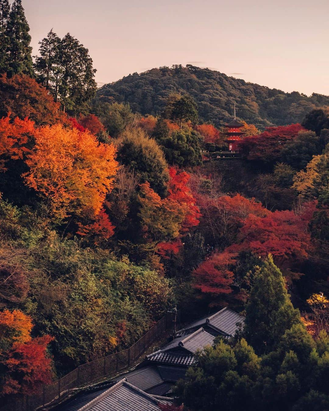 清水寺さんのインスタグラム写真 - (清水寺Instagram)「THE EVENING SPECIAL VISIT autumn 2019 | 秋夜  2019.11.23 -Dates: November 16 (Sat) - December 1 (Sun) -Hours: 5:30 p.m. - 9:00 p.m. (last entry)」11月24日 8時57分 - feel_kiyomizudera