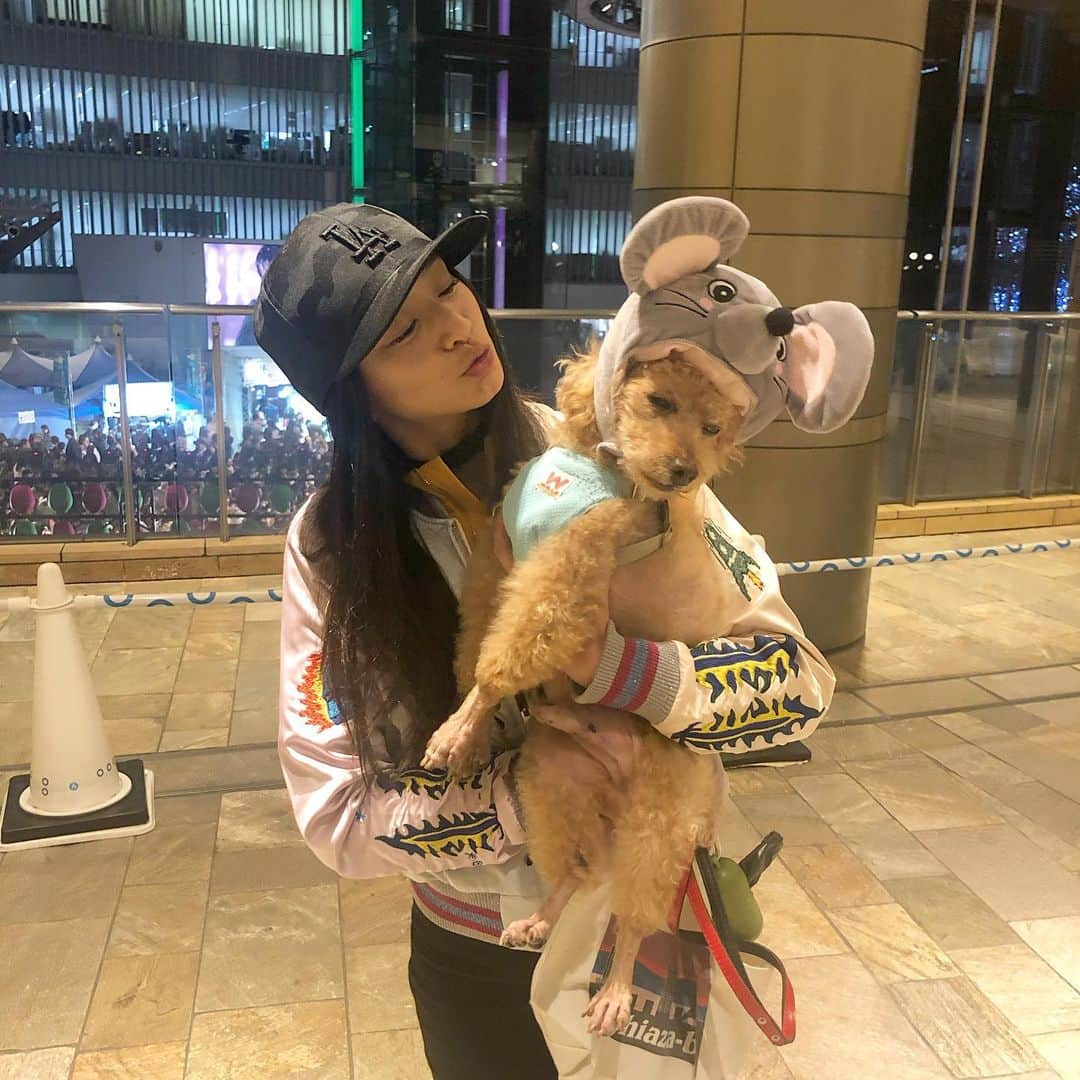 DJ JUICYさんのインスタグラム写真 - (DJ JUICYInstagram)「昔からスカジャン好き🙋🏻‍♀️❤️ DIESELのスカジャン😌✨ 🐭ジューピー🐶💙 #ジューシー散歩 #来年子年 #ネズミ#トイプードル#13歳#ショッピング#juicy#fashion  #diesel#newera#cap#jordan#nike」11月24日 9時08分 - dj_juicy0912