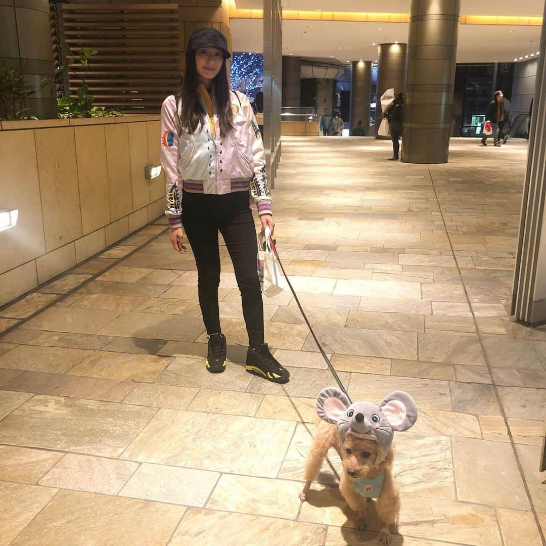 DJ JUICYさんのインスタグラム写真 - (DJ JUICYInstagram)「昔からスカジャン好き🙋🏻‍♀️❤️ DIESELのスカジャン😌✨ 🐭ジューピー🐶💙 #ジューシー散歩 #来年子年 #ネズミ#トイプードル#13歳#ショッピング#juicy#fashion  #diesel#newera#cap#jordan#nike」11月24日 9時08分 - dj_juicy0912