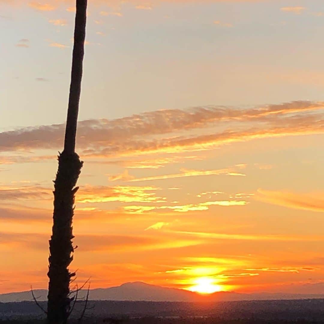 メアリー・マクドネルのインスタグラム：「There are some advantages to waking just before dawn... In Thanksgiving for this beautiful Earth!」
