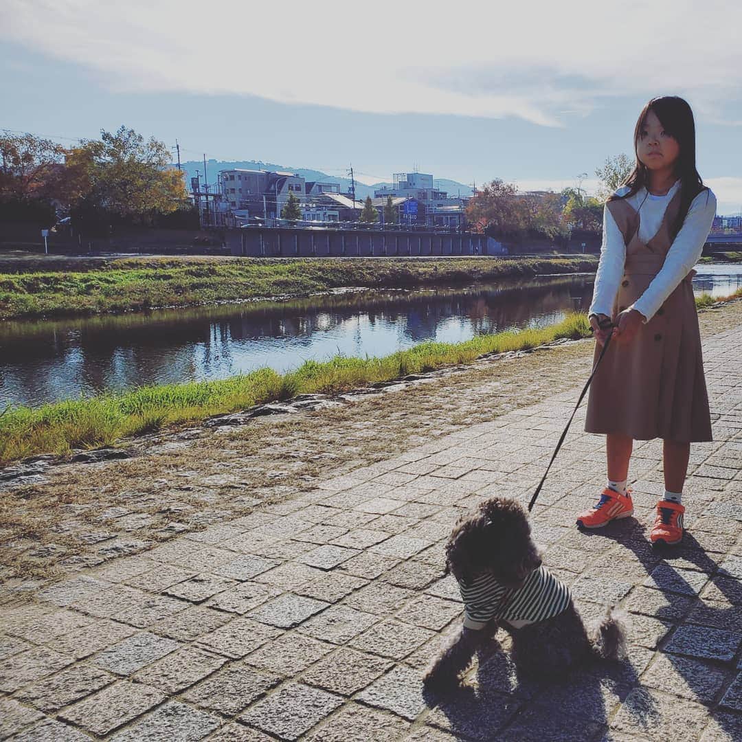 竹内弘一さんのインスタグラム写真 - (竹内弘一Instagram)「雨予報が一転、晴れ！！仕事前に愛犬の散歩。こんなたわいもない風景が幸せなんやろうなあ。#joy #散歩 #鴨川 #トイプードル #silvertoypoodle」11月24日 9時55分 - takeuchi_koichi