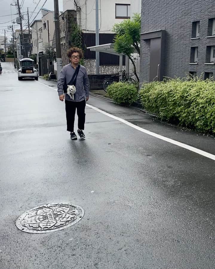 のインスタグラム：「買ったことを完全に忘れてた何年か前にバルセロナのペットショップで買ったドッグスリングが出てきたので、愛犬二郎に使ってみたら、サイズ感もバッチリで安定感も良くて二郎も全く嫌がらない❤️」