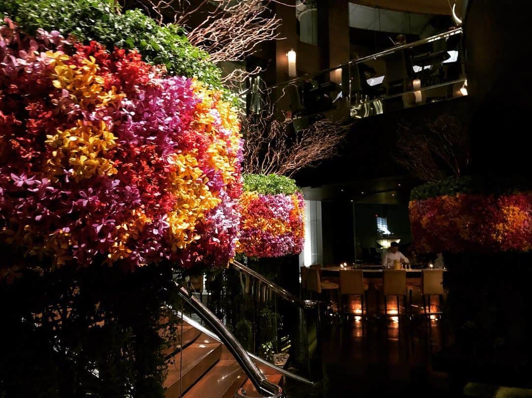 高井直子さんのインスタグラム写真 - (高井直子Instagram)「🎼 • 「SIROCCO」 地上63階の世界一高い rooftop bar デッキから広がるのは 宝石を散りばめたような バンコクの夜景💎 ・ #siroccoskybar  #bangkok」11月24日 10時55分 - naokotakai