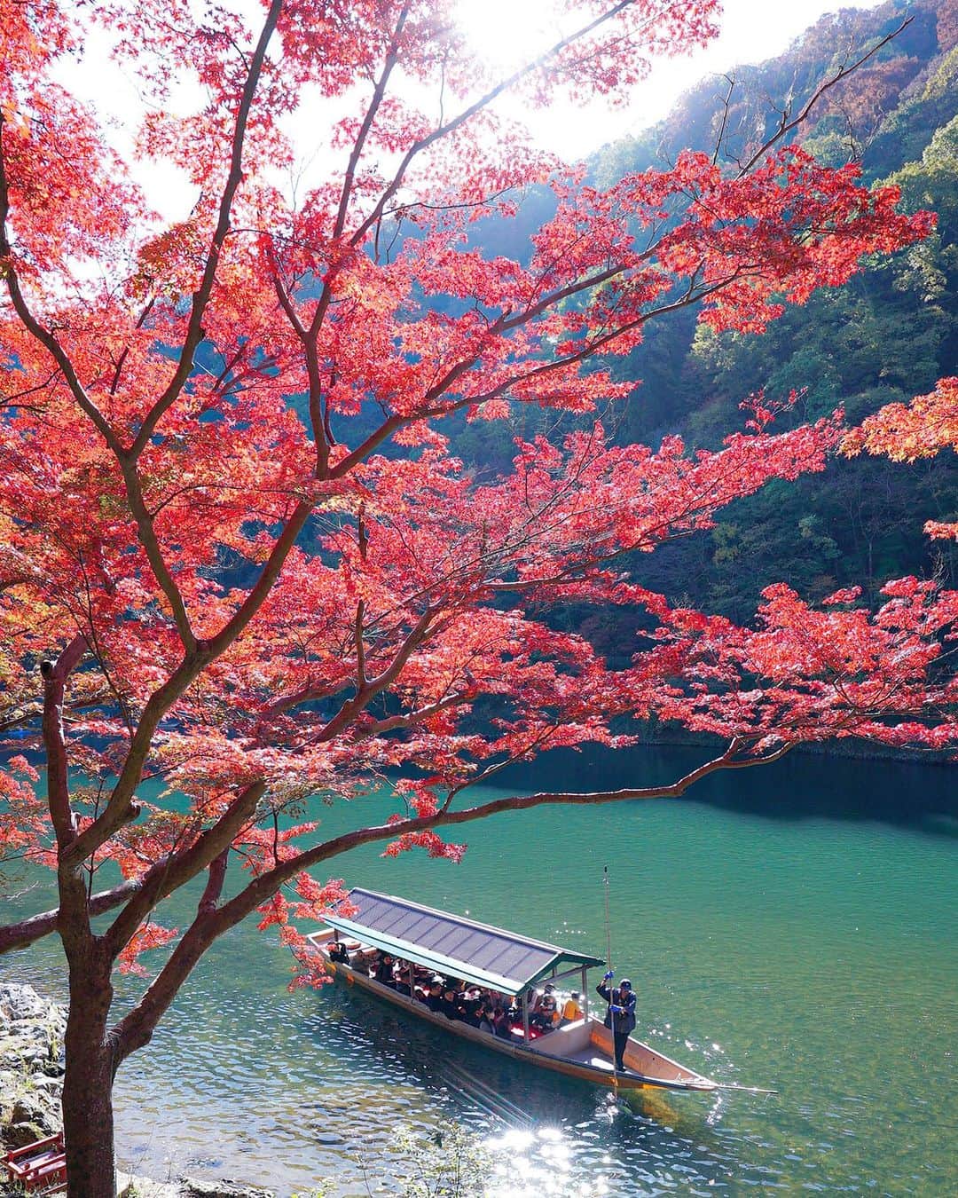 masayaさんのインスタグラム写真 - (masayaInstagram)「Arashiyama Kyoto yesterday 昨日の嵐山」11月24日 10時58分 - moonlightice