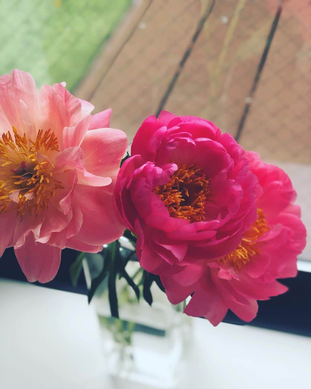 神崎恵さんのインスタグラム写真 - (神崎恵Instagram)「お花屋さんで、一目惚れした色。 あたたかくてひらきすぎてしまったから、窓辺でひんやり。 お花屋さんにいくと、ひとつひとつのお花から女性像が浮かび上がってくるようで、とても鮮やかな気持ちになります。 仕事柄なのか、もともとなのか。 この日も、花々の中に、すんと涼やかに立っている黒のカラーがあって、 敬愛する美容エディターの松本千登世さんを思い浮かべました。無駄のない圧倒的な美しさ。綺麗だったなぁ。」11月24日 11時07分 - megumi_kanzaki
