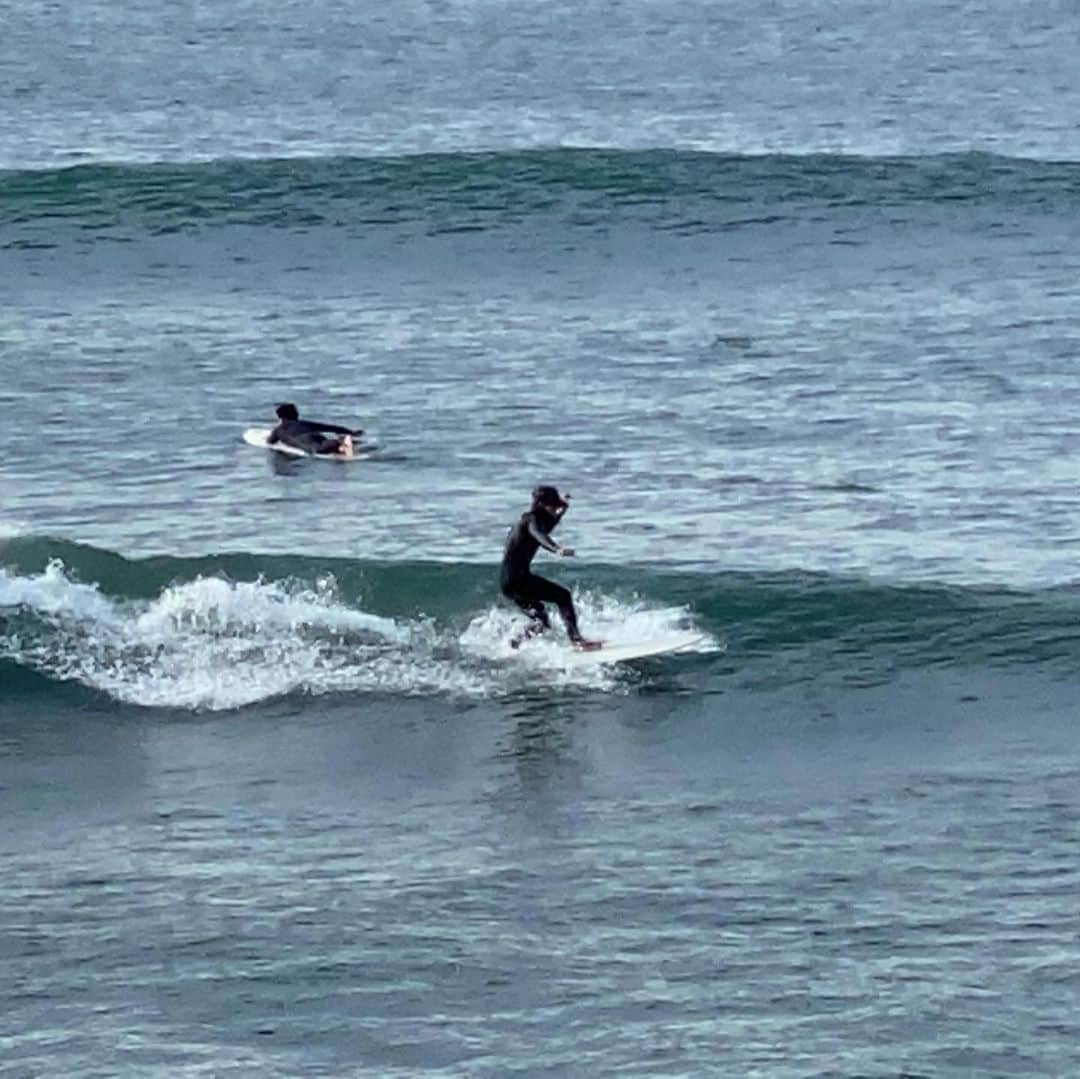 駿河太郎さんのインスタグラム写真 - (駿河太郎Instagram)「久々の海 4枚目は 相変わらずのチョロップニー…😅 師匠 @ken39_hamachan  すいません😧  でもいい波でリフレッシュ‼️ @gonakamura  ありがとうございました😊  またやりましょ〜‼️」11月24日 11時12分 - tarosleepydog