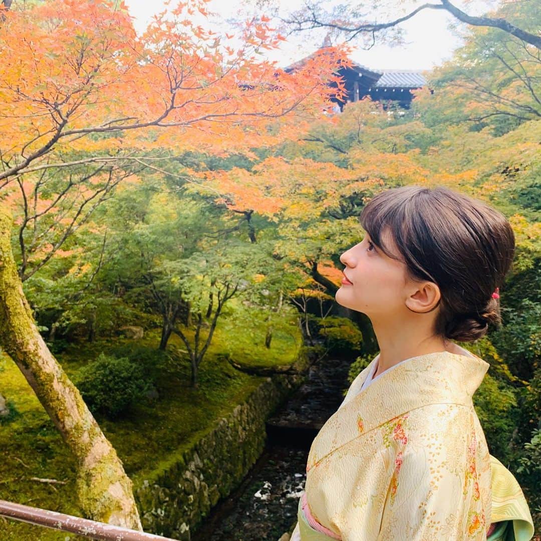 エリザベス・ハードキャッスルさんのインスタグラム写真 - (エリザベス・ハードキャッスルInstagram)「京都では市内のお寺を4つどどどーっとなかなかのペースでまわりました🤗 . まずはすでに紅葉が綺麗だと聞きつけ、東福寺🍁 . 噂通りの美しさでした🥰 たくさんの観光客で賑わってましたが、大混雑というほどではなくたっぷり写真を撮ることができて大満足でした(^^) . 紅葉を意識してお着物も着たんです👘 やっぱり秋の京都って特別ですね☺️ もちろんどの時期も素敵だけれど、紅葉のときに来られて嬉しかったです💓 . . #京都 #kyoto #kyototrip #京都観光 #お寺巡り #東福寺 #東福寺紅葉 #着物　#紅葉巡り #秋の京都 #女子旅」11月24日 11時22分 - elizabeth_hc49