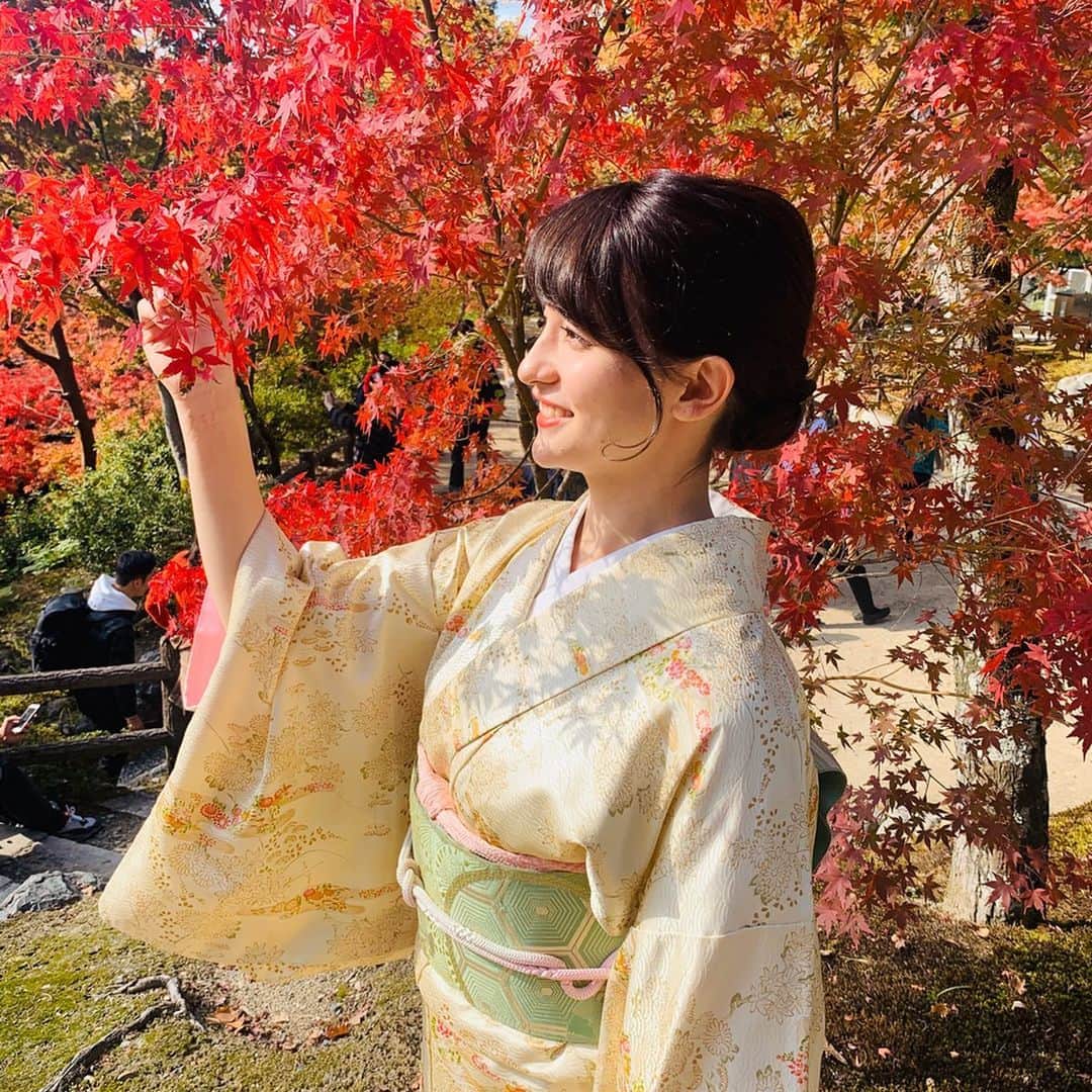 エリザベス・ハードキャッスルさんのインスタグラム写真 - (エリザベス・ハードキャッスルInstagram)「京都では市内のお寺を4つどどどーっとなかなかのペースでまわりました🤗 . まずはすでに紅葉が綺麗だと聞きつけ、東福寺🍁 . 噂通りの美しさでした🥰 たくさんの観光客で賑わってましたが、大混雑というほどではなくたっぷり写真を撮ることができて大満足でした(^^) . 紅葉を意識してお着物も着たんです👘 やっぱり秋の京都って特別ですね☺️ もちろんどの時期も素敵だけれど、紅葉のときに来られて嬉しかったです💓 . . #京都 #kyoto #kyototrip #京都観光 #お寺巡り #東福寺 #東福寺紅葉 #着物　#紅葉巡り #秋の京都 #女子旅」11月24日 11時22分 - elizabeth_hc49