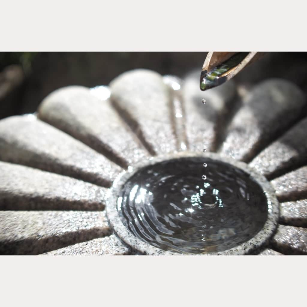 花澄さんのインスタグラム写真 - (花澄Instagram)「水琴窟。  #kyoto#japan#olympus#olympuspen#olympuspenepl8#switar#macroswitar#macroswitar26mm#oldlens#cinelens#オールドレンズ#シネレンズ#oldlens_tokyo#京都#花澄#雲龍院#泉涌寺#水琴窟」11月24日 22時19分 - textisan