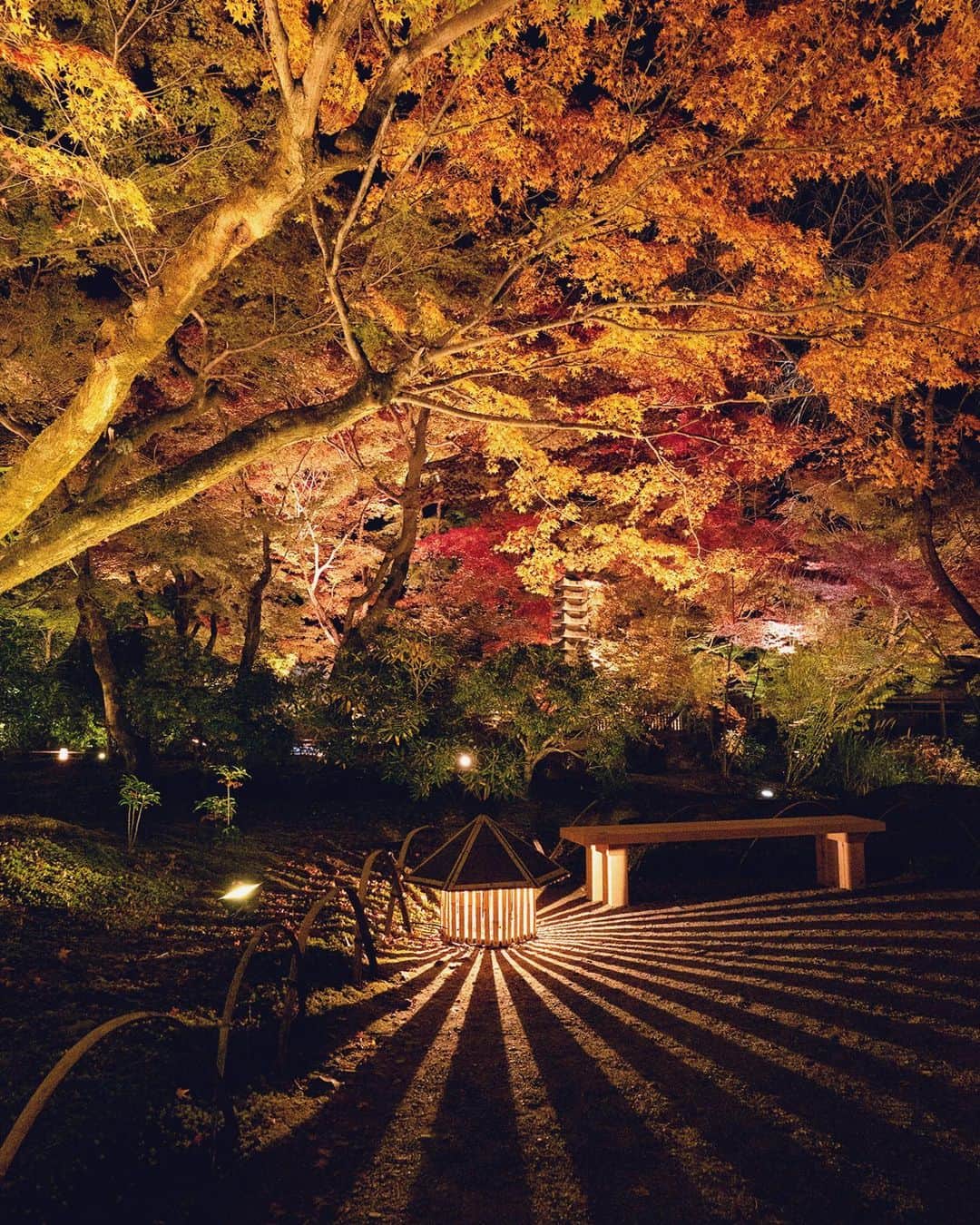 masayaさんのインスタグラム写真 - (masayaInstagram)「宝厳院 Hogonin temple Kyoto  ここもライトアップ1時間20分前から並びました。2番手。宝厳院のライトアップは初めてで、誰もいない美しい庭園を歩くのは爽快でしたが、早く絶好のポイントを見つけて撮り始めないと後ろから人の波が押し寄せてくるので、しっとり鑑賞していられなかったのが残念。」11月24日 20時54分 - moonlightice