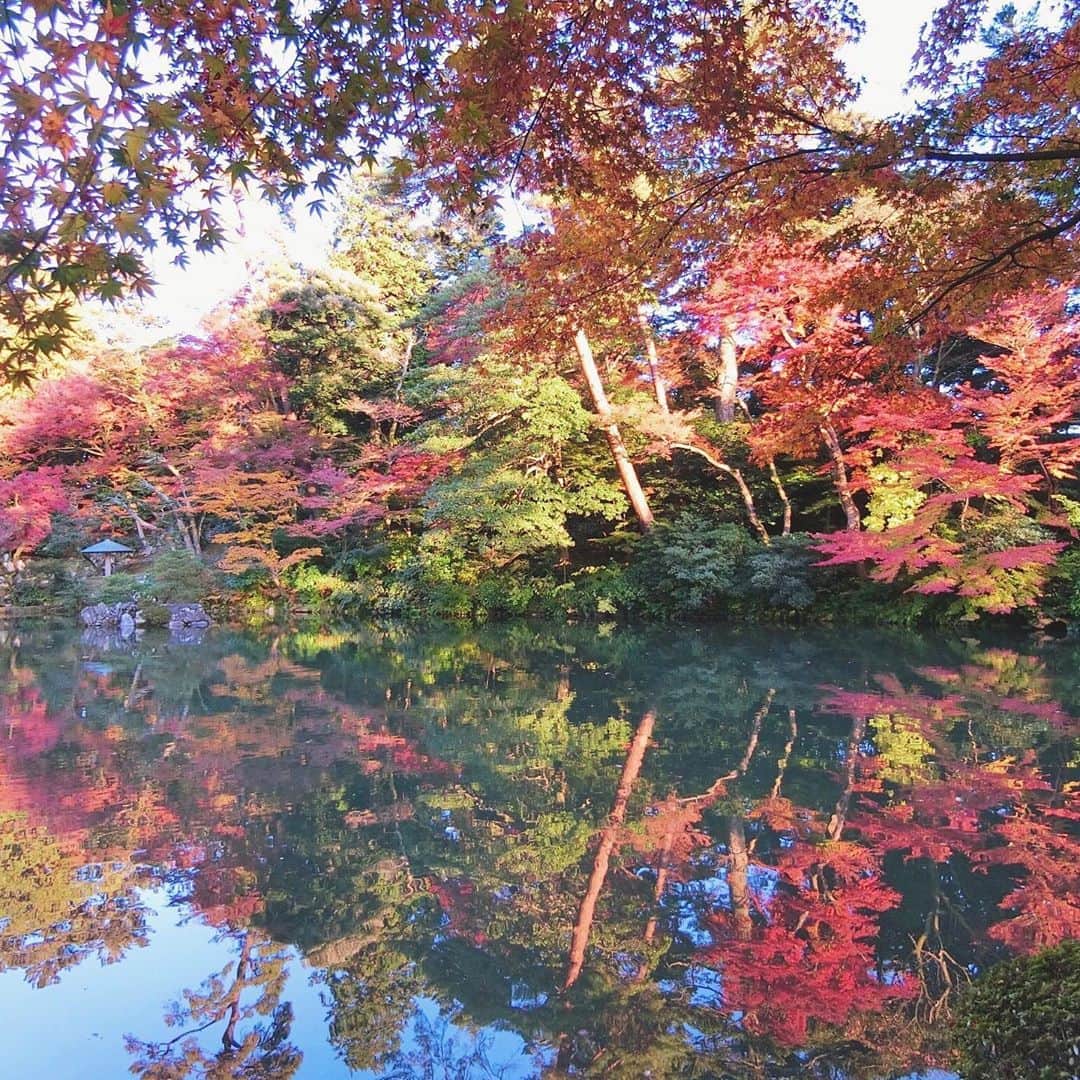 のインスタグラム：「*﻿ ﻿ 紅葉のリフレクション🍁🍂﻿ ﻿  美しかった〜。﻿ ﻿ ________________________________ #金沢 #兼六園 #紅葉 #秋 #絶景 #リフレクション #kenrokuen」
