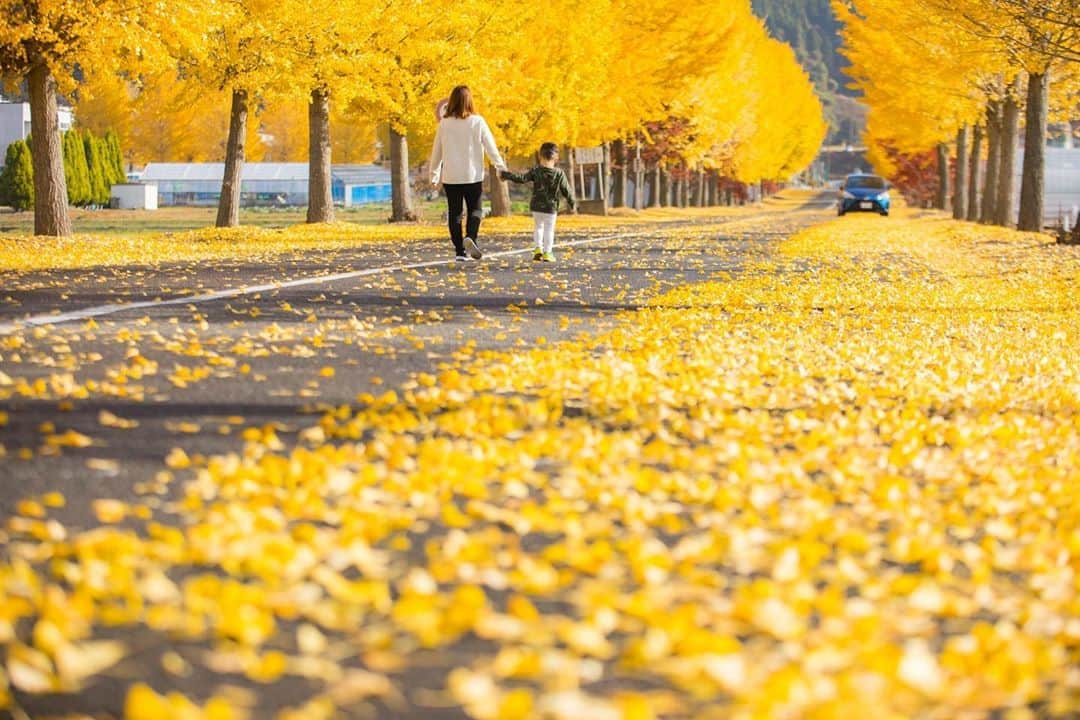 滋賀県長浜市のインスタグラム