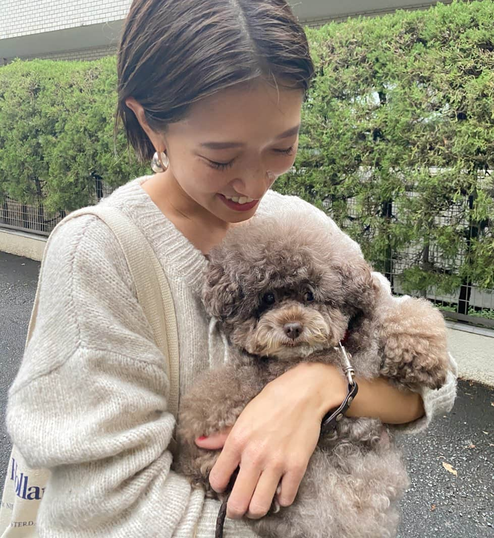 Alysa Ichikiさんのインスタグラム写真 - (Alysa IchikiInstagram)「会いたくて会いたくて仕方なかったこころちゃんにやーーーっと会えたの〜！👏🏻❤️✨ インスタで見てて、 よく近所をお散歩している様子だったのでいつかいつかとは思っていたけれど❣️ 念願すぎて顔がふにゃふにゃになった🤤 飼い主さんもとっても優しくて素敵なご夫婦でより大好きになりました✨ 抱っこさせてもらえて幸せっっ ありがとうございました🙏🏻❤️」11月24日 21時37分 - alysa_i