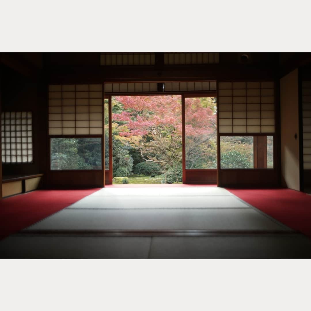 のインスタグラム：「雲龍院。  #leica#leicam10p#summicron#summicron35#summicron35mmf2#summicron35mm1st#summicron35mm8elements#oldlens#ライカ#ライカm10p#ズミクロン#ズミクロン35mm#ズミクロン35mm8枚玉#オールドレンズ#kyoto#japan#oldlens_tokyo#花澄#京都#雲龍院」