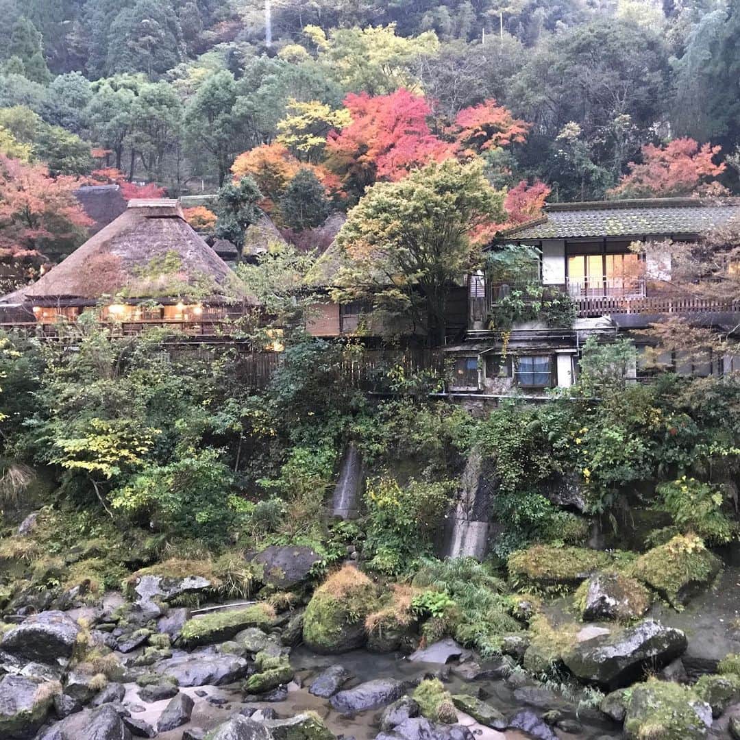 栗原友さんのインスタグラム写真 - (栗原友Instagram)「大好きな鹿児島。また来年！」11月24日 21時54分 - kuri__tomo